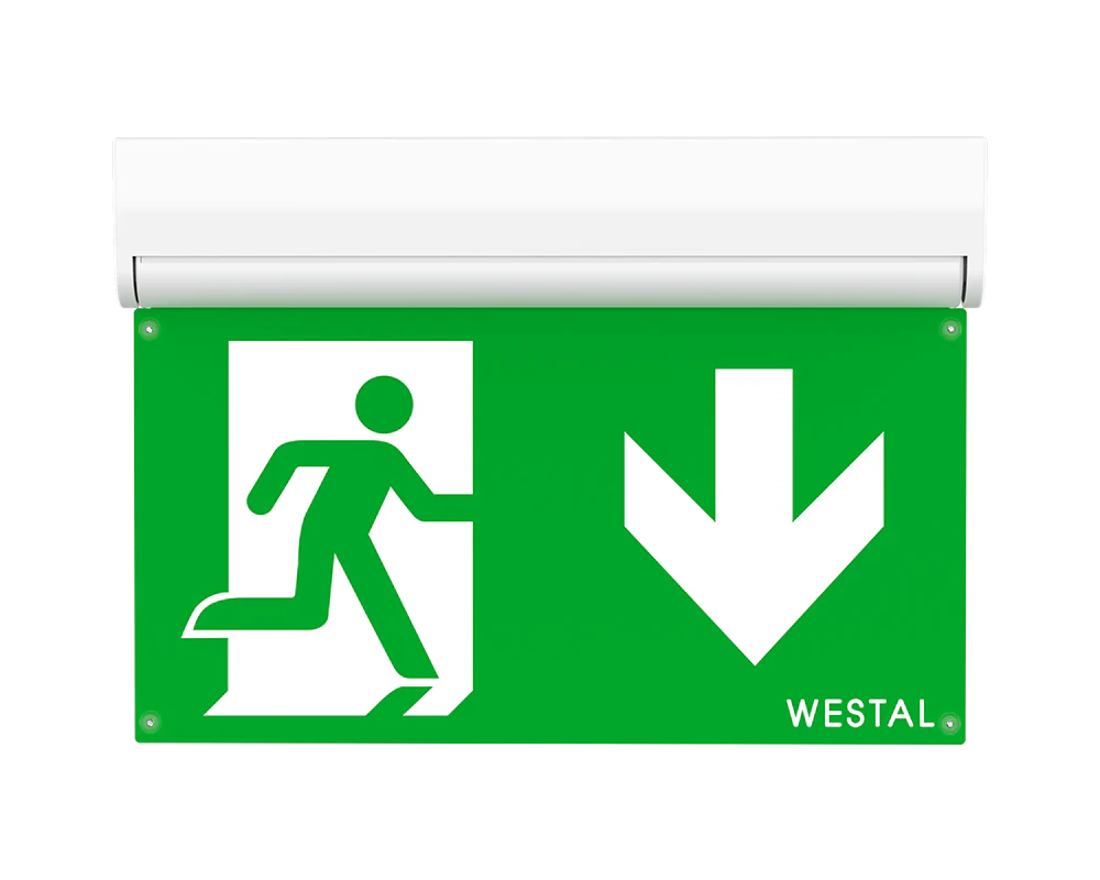 Miniatyrbild 3