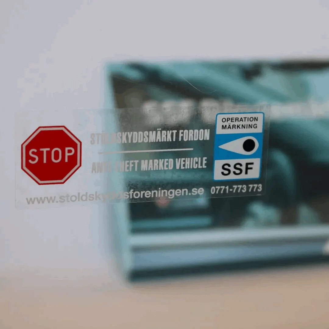 Miniatyrbild 2