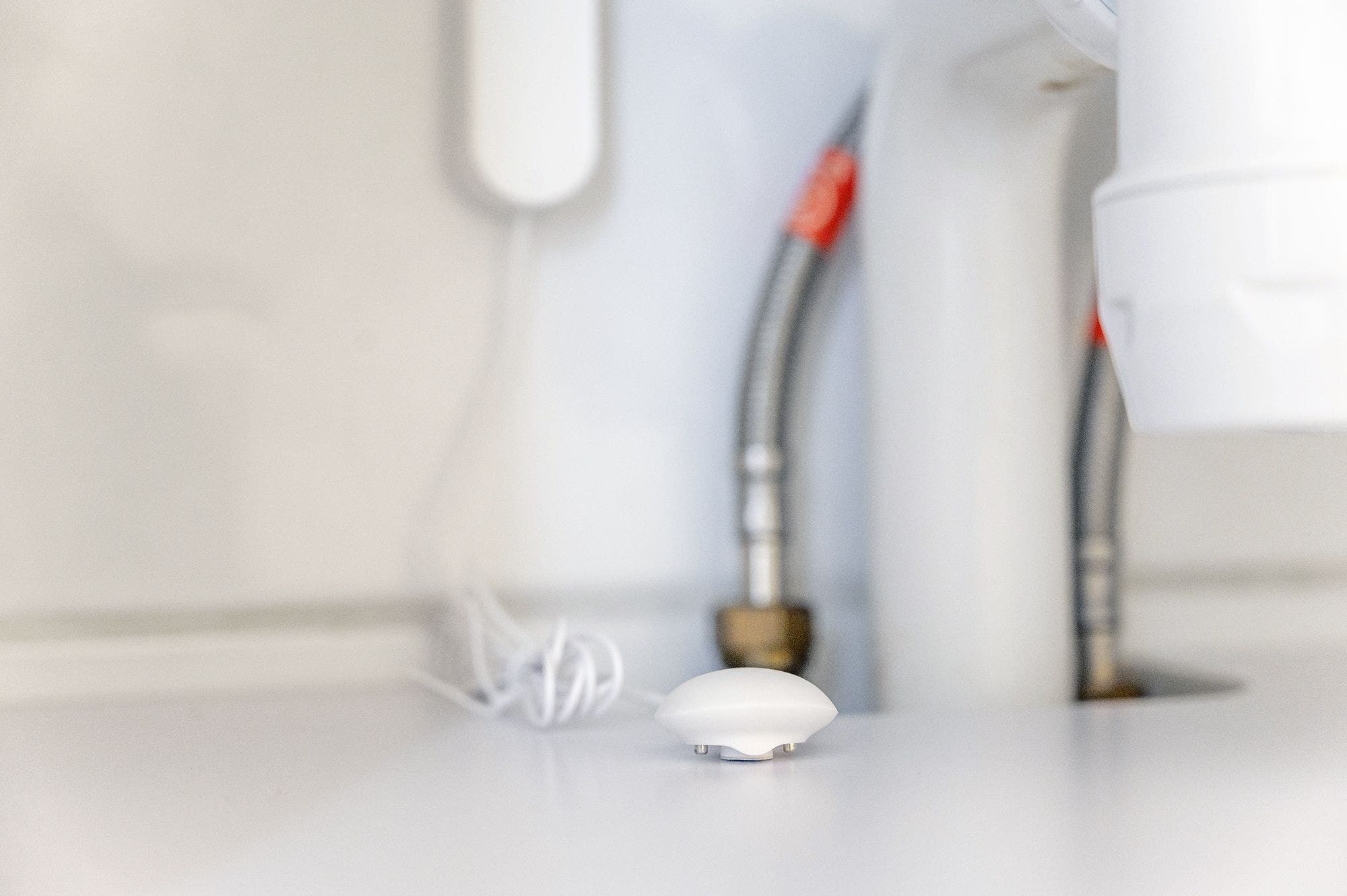 Miniatyrbild 3